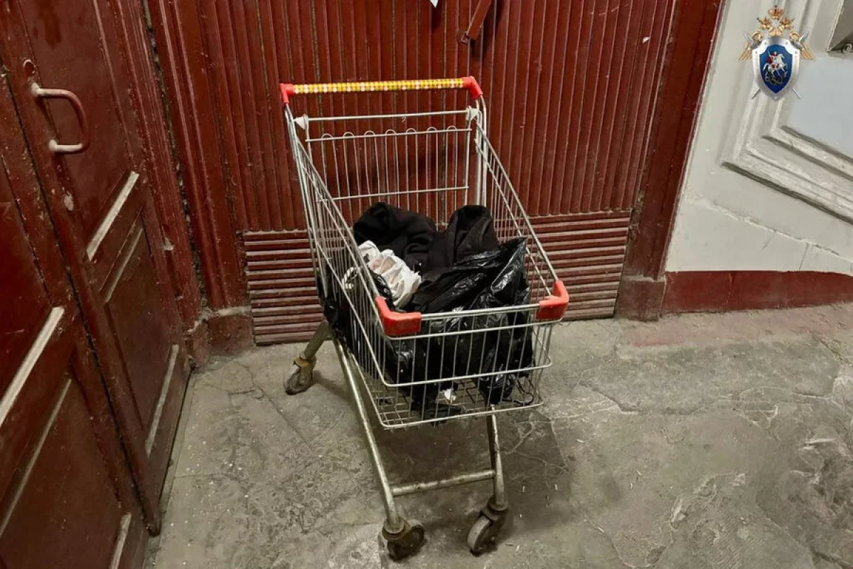 Yaşlı qadın parçalanmış cəsədi ərzaq arabasında daşıdı - DƏHŞƏTLİ QƏTL