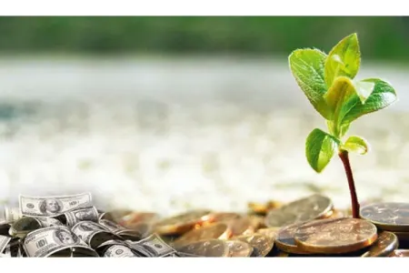 Maqnit kimi pulu cəlb edir! - 1 ədəd qoymaq kifayətdir