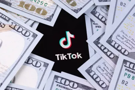 TikTok fenomeni saxlanıldı - VİDEO