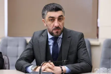 Deputat istefa verdi