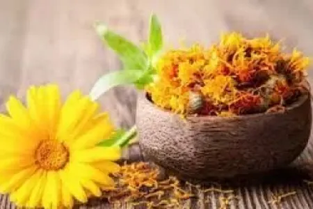 Bu dərman bitkisi görməni bərpa etdi