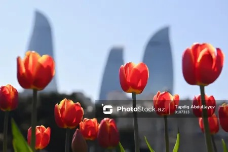 "Yaz fəslini itiririk, qışdan birbaşa yaya keçirik"