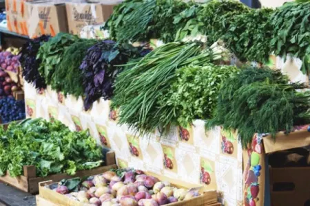 İmmun sisteminə möcüzəvi təsir edən - GÖYƏRTİLƏR