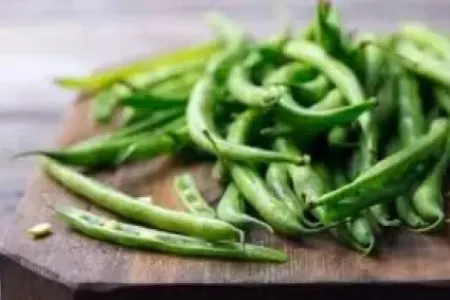 Lobya nə ilə FAYDALIDIR?