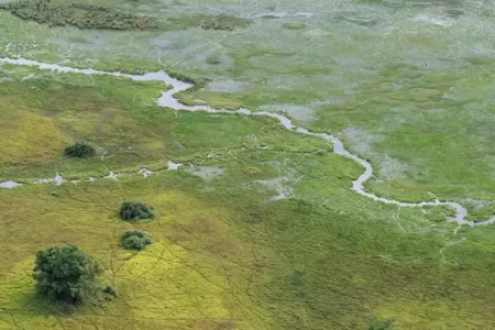 Qədim insanların ilk DNT profilləri aşkarlanıb - -ARAŞDIRMA