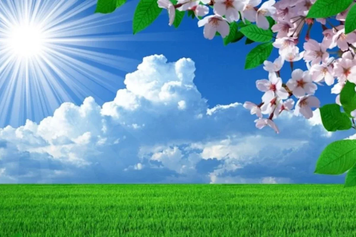 Havaların birdən isinməsi sağlamlığa necə təsir edir?