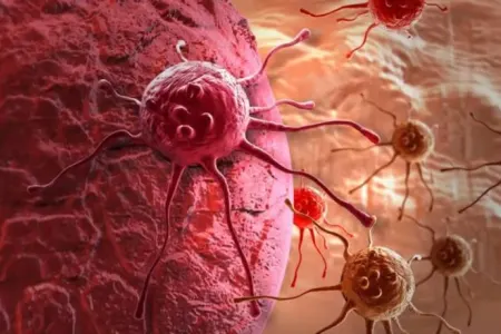 DİQQƏT: Xərçənglə mübarizə üçün yeni üsul - KƏŞF EDİLDİ