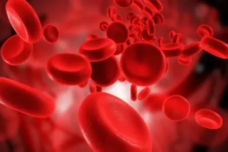 Bu içki qanda "pis" xolesterini aşağı salır - FOTO