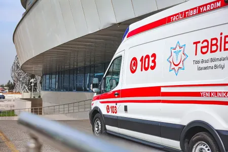 Ata əkdiyi naringi meyvələrini satan oğlunu güllələdi