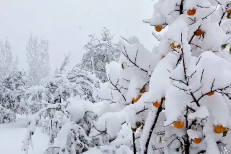 Apreldə qar yağacaq - Bizdə də temperatur dəyişəcək