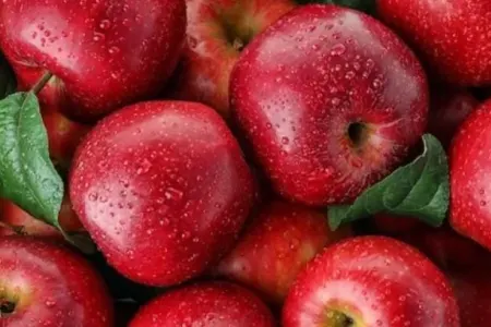 Hamının etdiyi məşhur səhv - AÇIQLANDI