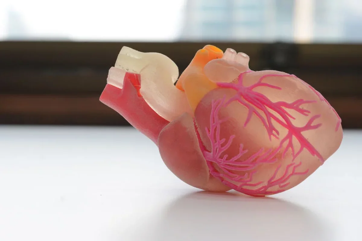 Yaşadığınız yerin dəyişdirilməsinin - SAĞLAMLIĞA TƏHLÜKƏSİ