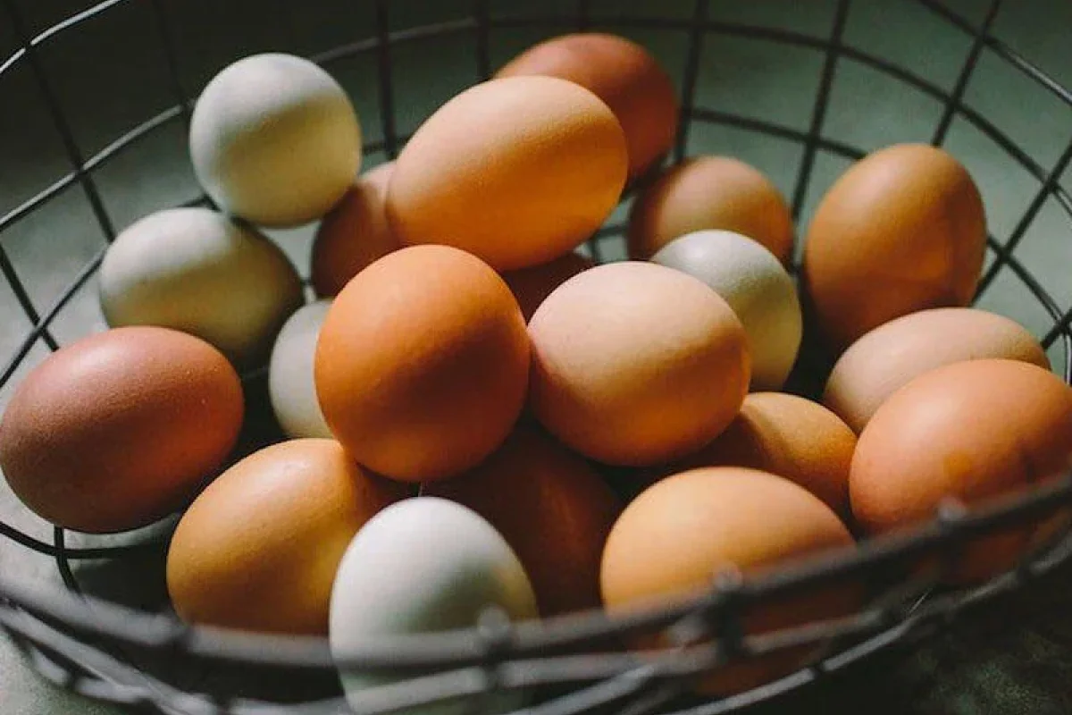 Yumurtanın qiyməti kəskin - ARTDI