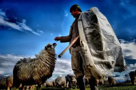 Dağda qoyunla oyun oynayan çobanın - GÖRÜNTÜLƏRİ