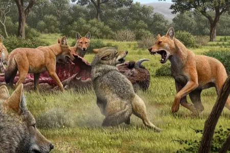 Alimlər 12 min il əvvəl nəsli kəsilmiş dəhşətli canavarları - "DİRİLTDİ"