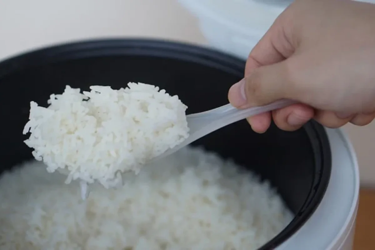 Düyü qiymətləri artacaq - Böhran GƏLİR