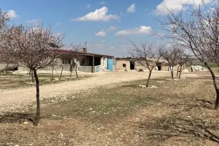 3 yaşlı qızını amansız şəkildə qətlə yetirmişdi: Sevdanın cəzası bəlli oldu