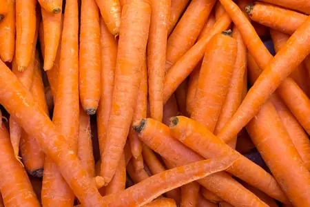 Xərçəng əleyhinə qida: - YERKÖKÜ