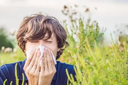 Yaz allergiyasına müsbət təsir edən - BİTKİLƏR