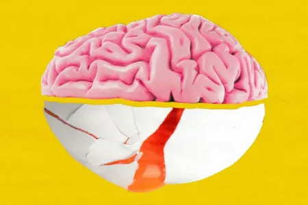 Niyə "beyin qidası" kolinin diqqətdən kənarda qaldığı düşünülür?