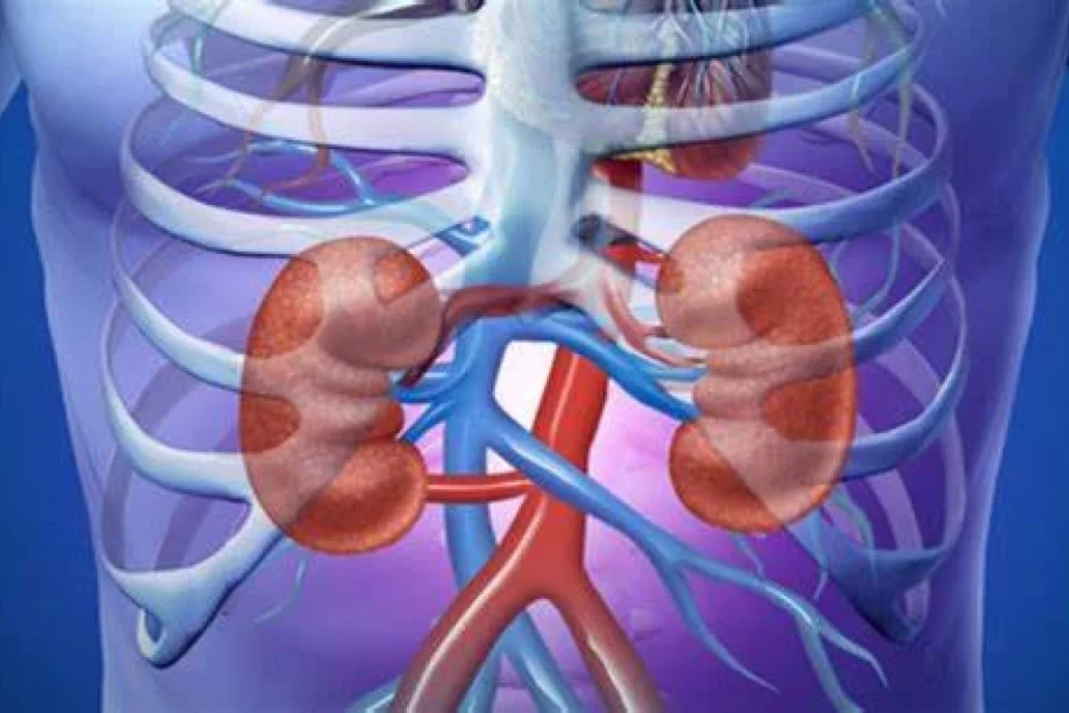 Böyrək xərçəngi nədir?