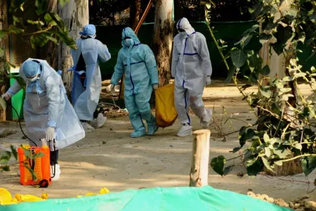 İlk dəfə bu tip "quş qripi" - AŞKARLANDI