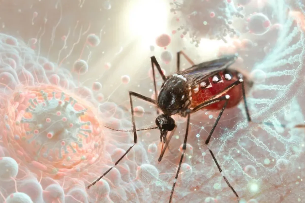 Yeni epidemiya yayılır - XƏBƏRDARLIQ