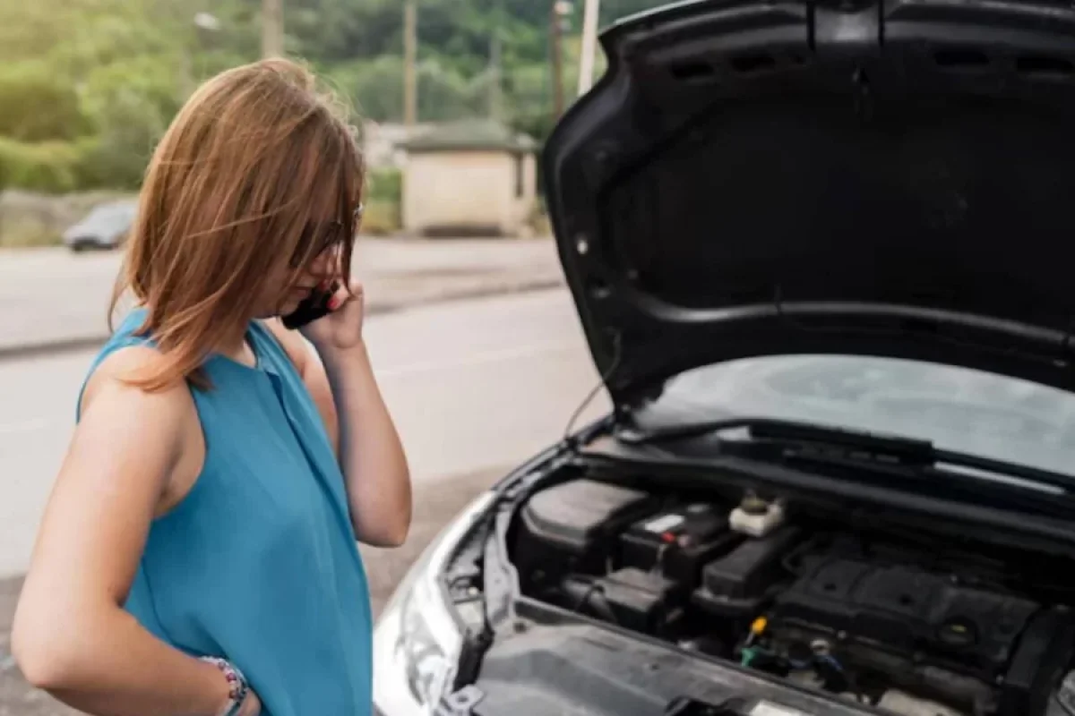 Ən dözümlü - avtomobillər