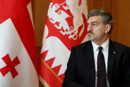 Gürcüstan Prezidenti Azərbaycana səfər edəcək
