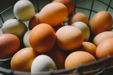 Yumurta kəskin BAHALAŞDI – QİYMƏTLƏR