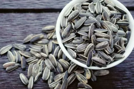 Tumların beyinə faydası sübut olundu