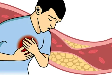 Sağlamlıq üçün yediyimiz bu QİDALAR - xolesterolu YÜKSƏLDİR