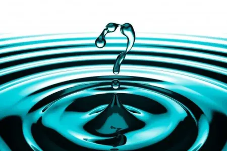 Sudan sonra insan sağlamlığı üçün ən faydalı içki açıqlandı