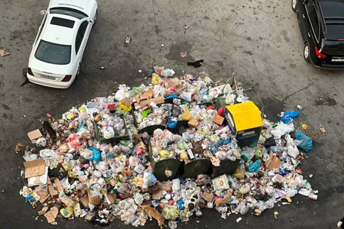 Bu şirkətlər barəsində inzibati iş başladıldı