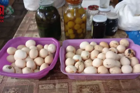 Rekord UCUZLAŞMA - Kənd yumurtası 15 qəpiyə SATILIR