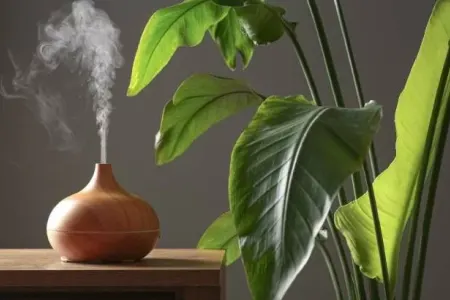 Evinizdəki hava sizi yorur? - Buna diqqət edin