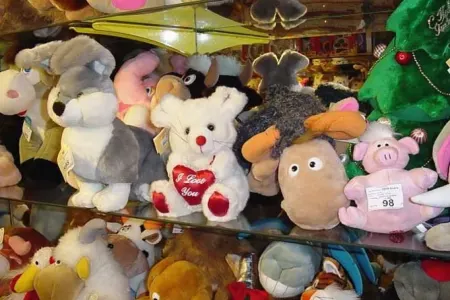 Yumşaq oyuncaqlar unitazdan iki dəfə çox - ÇİRKLİDİR