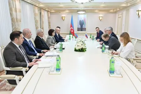 Sahibə Qafarova Boyan Çebela ilə görüşdü