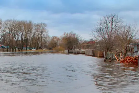 Azərbaycanda çaydan görün nə tapıldı