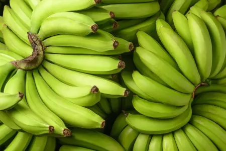 Yaşıl bananın inanılmaz faydası üzə çıxdı