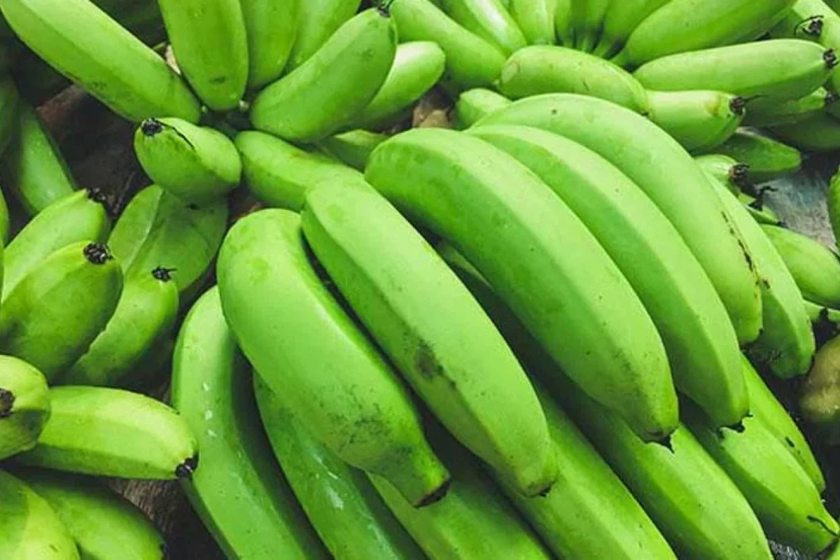 Bananı yaşıl halda yemək daha - FAYDALI İMİŞ...