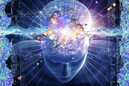 Qoxuların beyin fəaliyyətinə təsiri - TƏDQİQAT