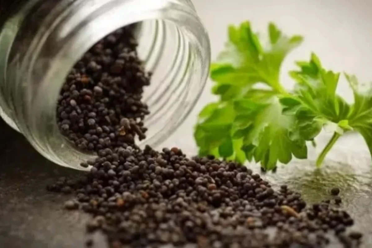 Xərçəngdən qorunmaq üçün hər mətbəxdə olan - 5 MƏHSUL