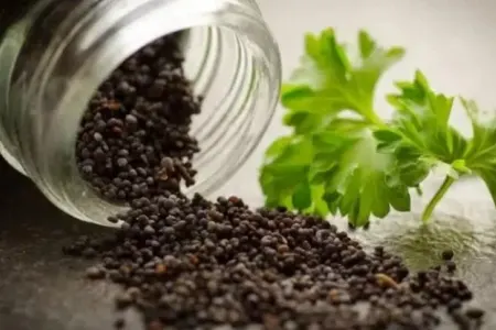 Xərçəngdən qorunmaq üçün hər mətbəxdə olan - 5 MƏHSUL