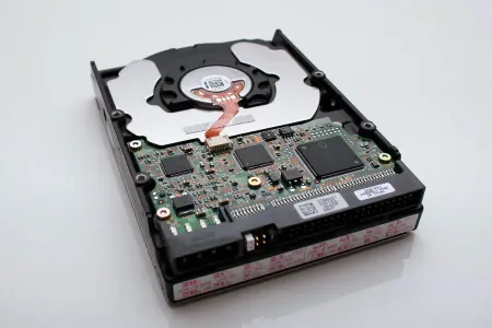 "Microsoft" və "Western Digital" şirkəti