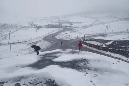 Qara görə imtahanda iştirak edə bilməyəcəklər