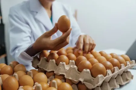 Yumurtanı uzun müddət təzə saxlamağın SİRLƏRİ