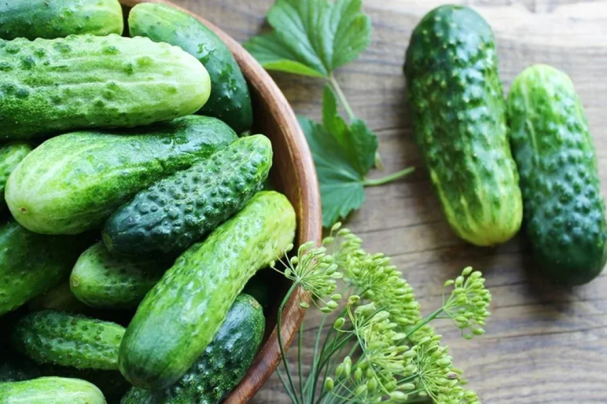 Xiyar düşünüldüyü qədər faydalı ola bilməz -