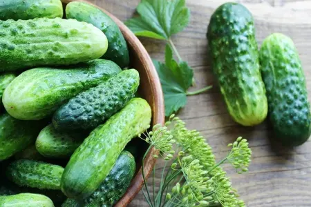 Xiyar düşünüldüyü qədər faydalı ola bilməz -