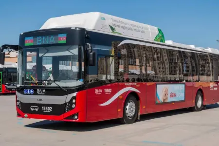 Bakıda avtobuslardan pulsuz istifadə ediləcək?
